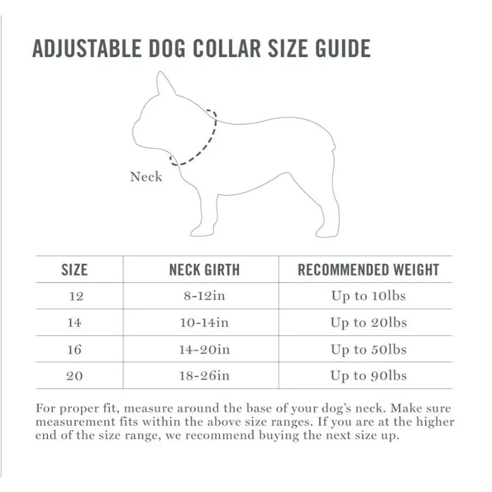 Martha Stewart | Dog Collar Size 14 Gray